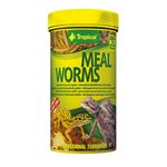 Tropical Meal Worms - 100 ml