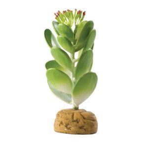 Exo Terra - Jade Cactus / PT 2984