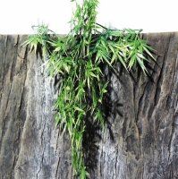 JBL - TerraPlanta Madagascar Bambus S