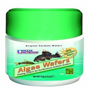 Ocean Nutrition - Algae Wafers - 75 g