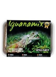 Reptiles Planet - Kit Seminte Iguana