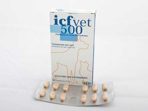 Tsefalen 500 mg - 12 tab