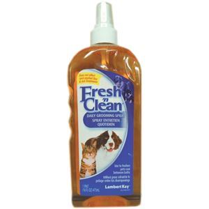 Church & Dwight - Fresh'n Clean - 473 ml