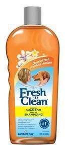 Church & Dwight - Fresh'n Clean - 533 ml