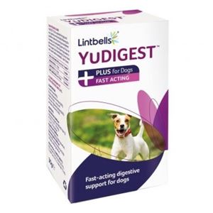 Lintbells - YuDIGEST Plus Dog - 6 plicuri