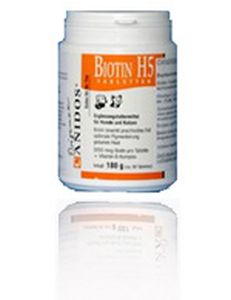 Biotin H5 - 90 tab