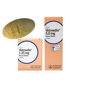 lamp instance stomach Vetmedin Capsule - 1,25 mg/50 tab <- Stare generala <- Caini