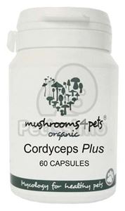 Cordyceps Plus - 500 mg/60 buc