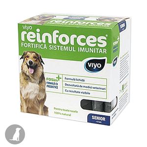 Viyo - Reinforces Dog Senior - 7 x 30 ml