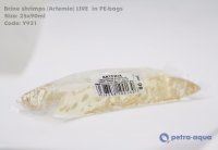 Brine Shrimps - Artemia PE-bags live (Y930 - 50 x 45 ml)