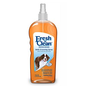 Church & Dwight - Fresh'n Clean Spray curatare uscata - 473 ml