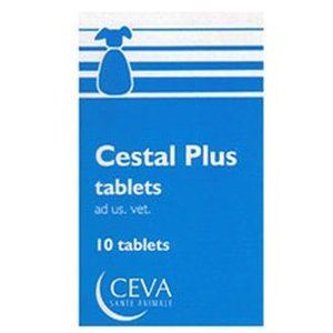 Cestal Plus Flavour - 4 tab