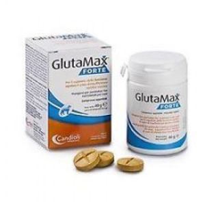 Glutamax forte - 120 tab