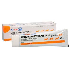 Reconvalescent Dog - 100 g