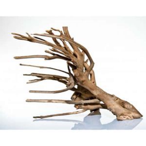 Aquadeco - H 095 Talawa wood 15-100 cm