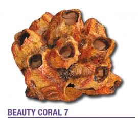 Wave - Beauty Coral 7