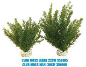 Sydeco - Club Moss Large 22 cm / 350105