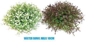 Sydeco - Water Bowl Maxi 10 cm / 350135