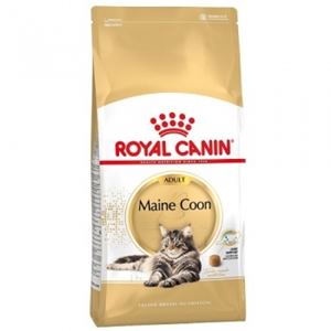 Royal Canin Adult 31 Maine Coon - 10 kg