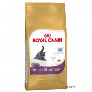 Royal Canin Kitten British Shorthair  - 2 kg