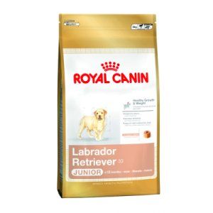 Royal Canin Labrador Retriever Junior - 3 kg