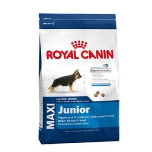 Royal Canin Maxi Junior - 10 kg