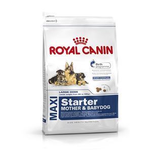 Royal Canin Maxi Starter Mother & Babydog - 4 kg