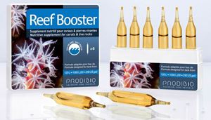 Prodibio - Reef Booster - 1 fiola