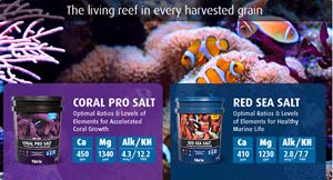 Red Sea - Coral Pro Salt - 22 kg