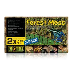 Exo Terra - Forest Moss - 500 g